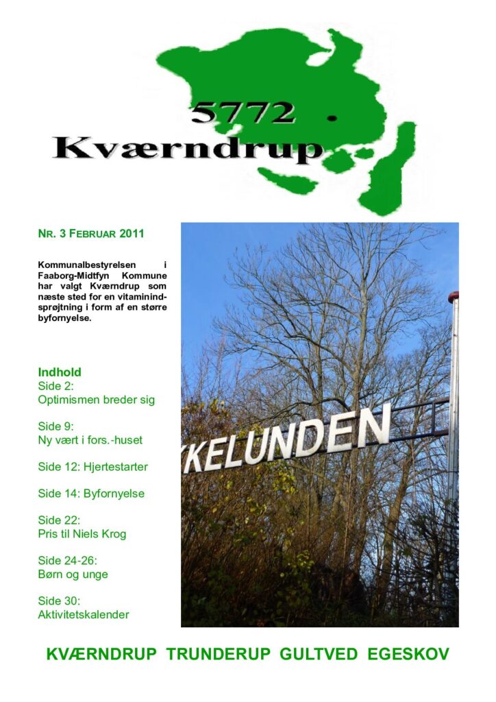 thumbnail of Nr 3 Feb 2011