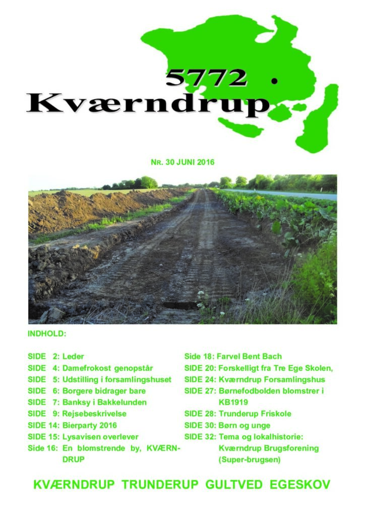 thumbnail of Nr 30 Jun. 2016