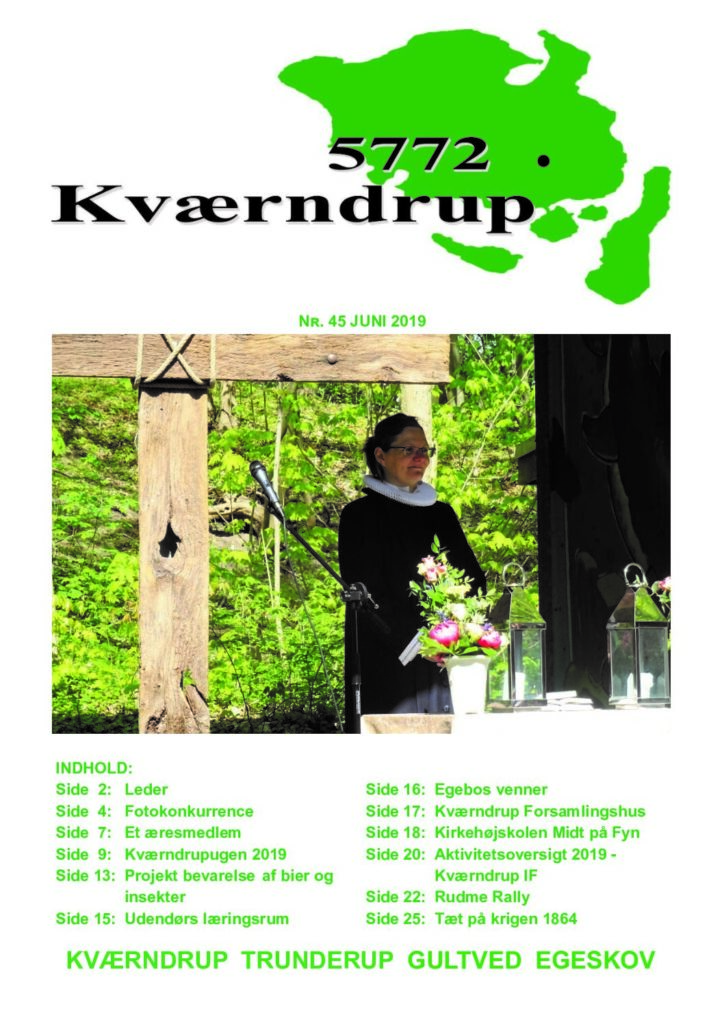 thumbnail of Nr 45 Jun. 2019