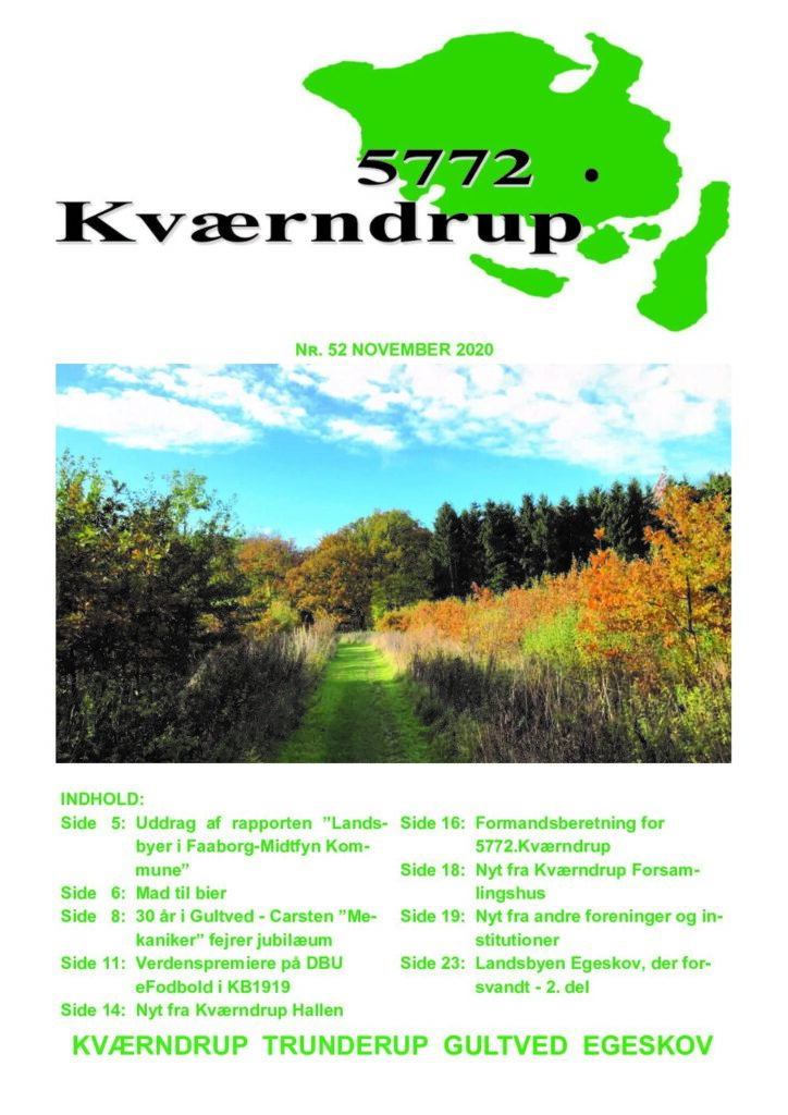 thumbnail of Nr 52 Nov. 2020